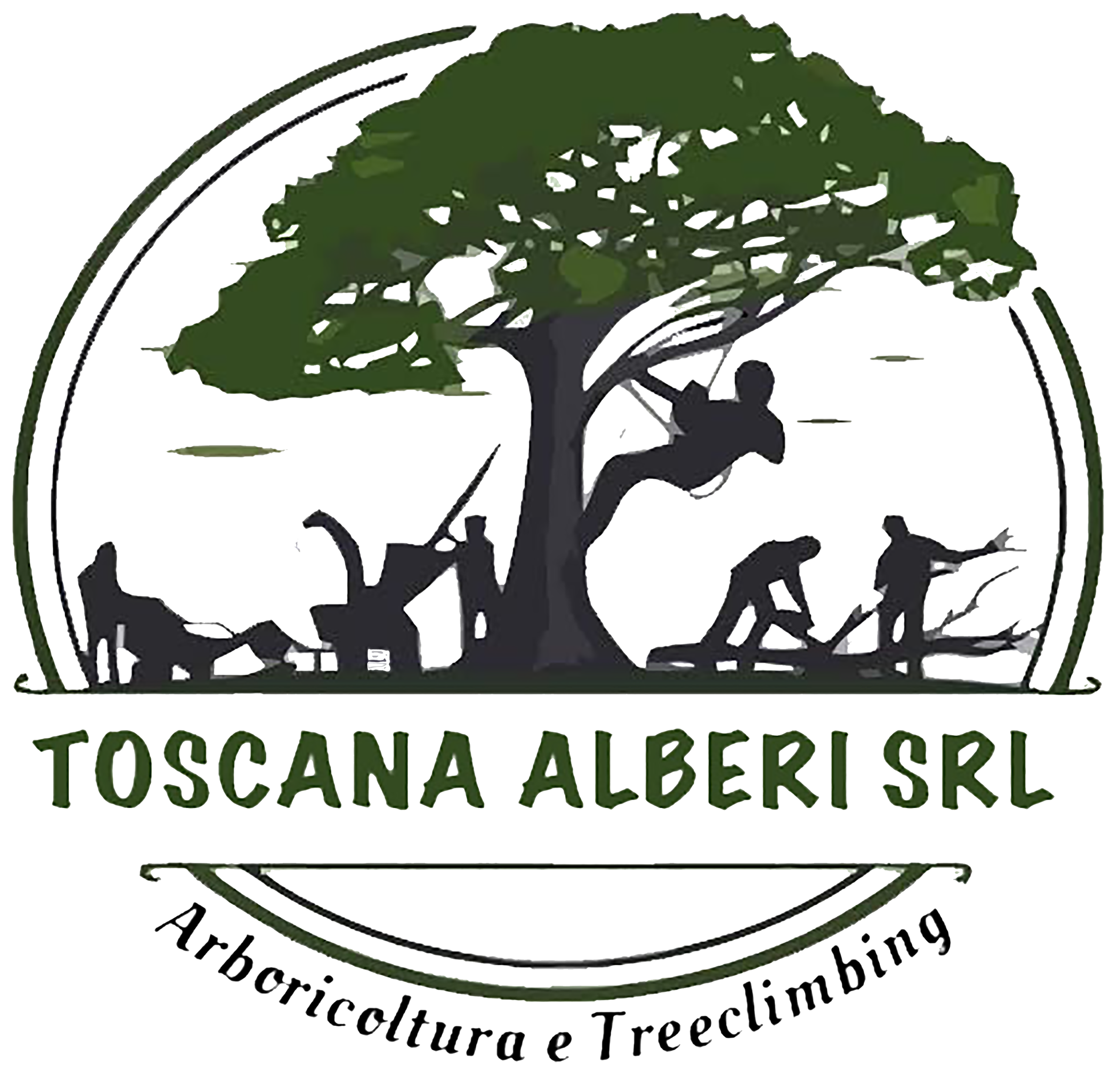 Toscana alberi srl