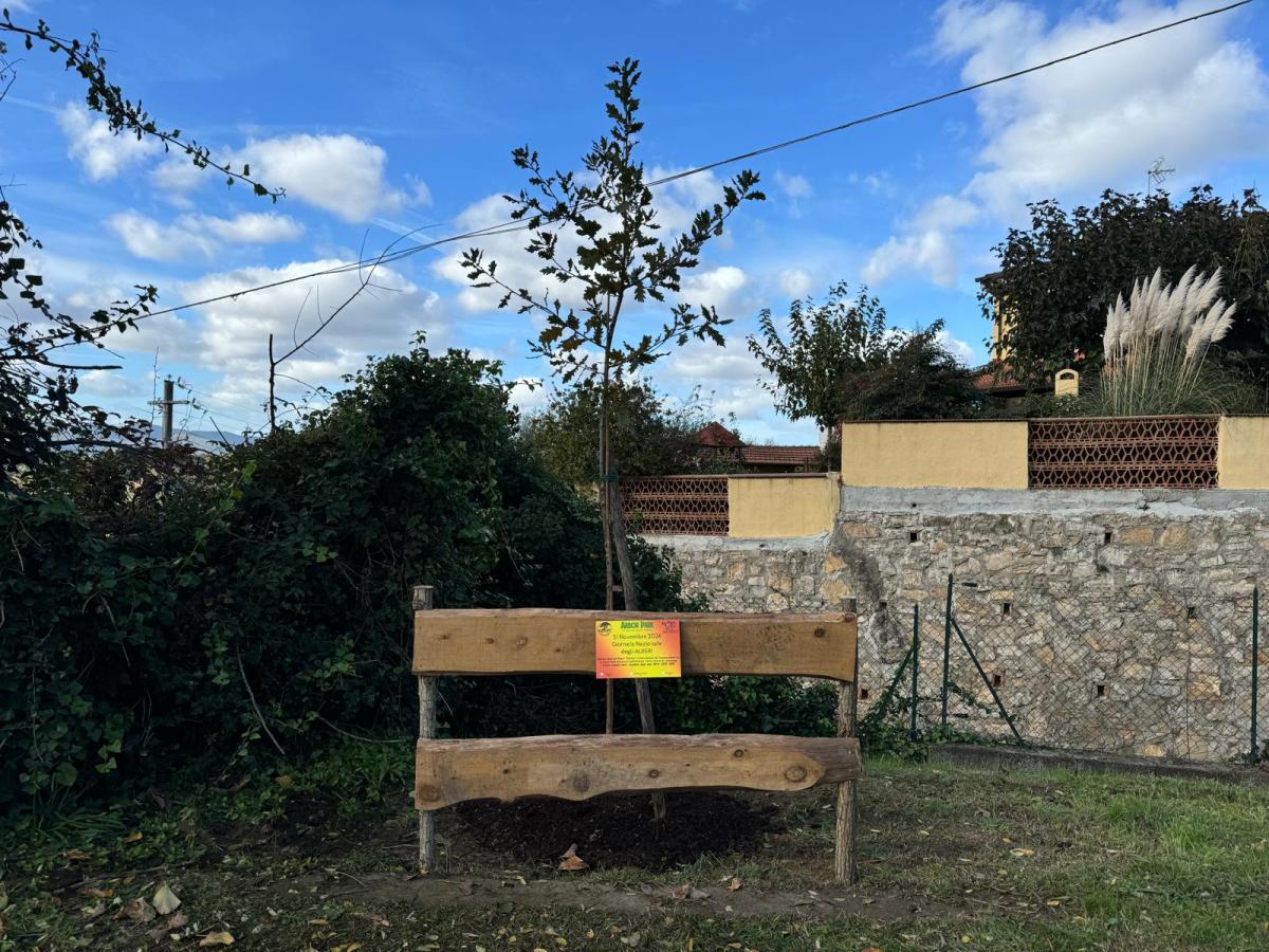21 Novembre 2024 festa Nazionale degli&nbsp;alberi